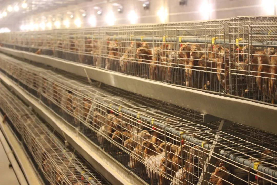 1606980048919420.jpg 微信圖片_20201203150946.jpg