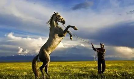 1607051136235155.jpg 微信圖片_20201204110217.jpg